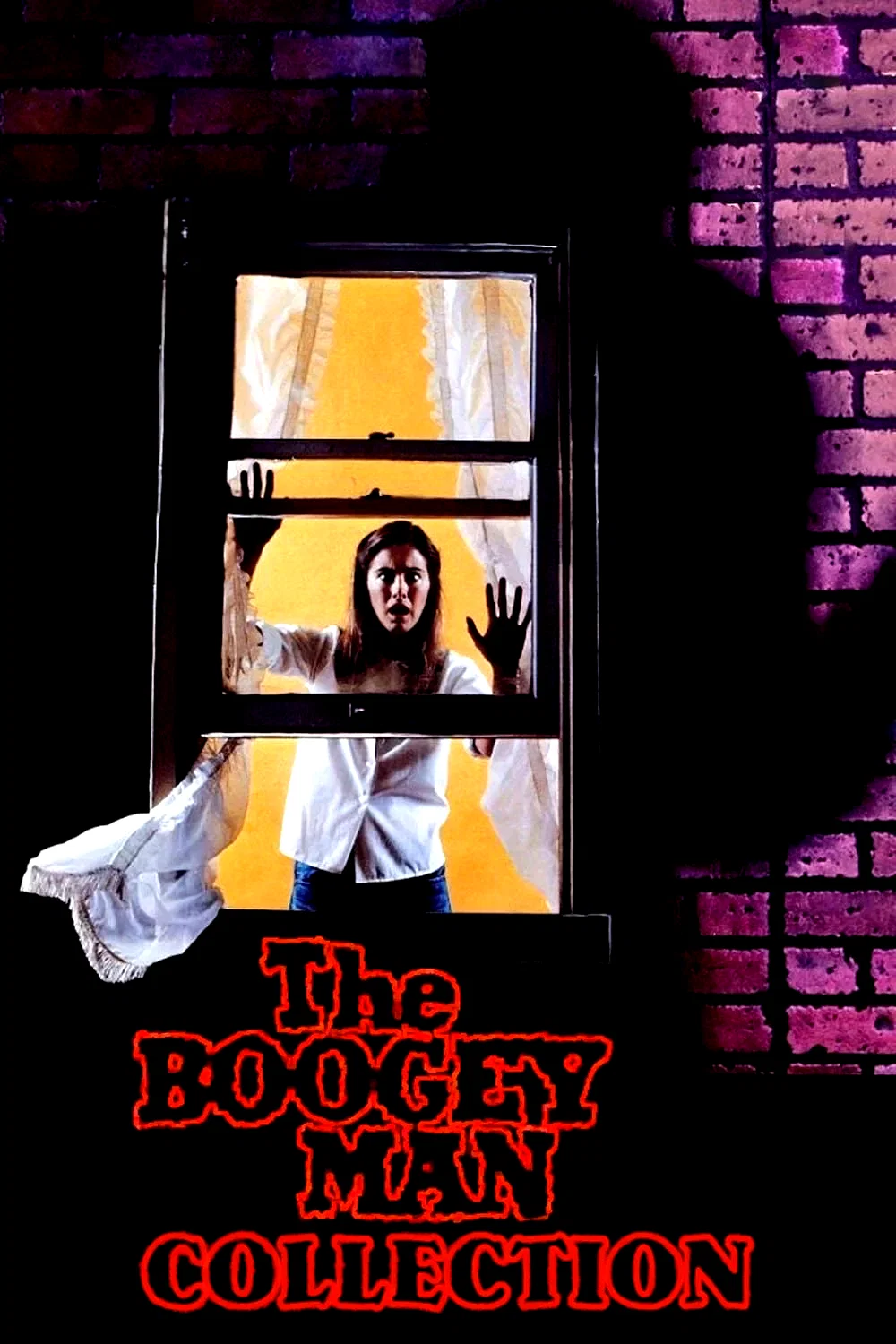 Affiche de la collection : The Boogey Man - Saga
