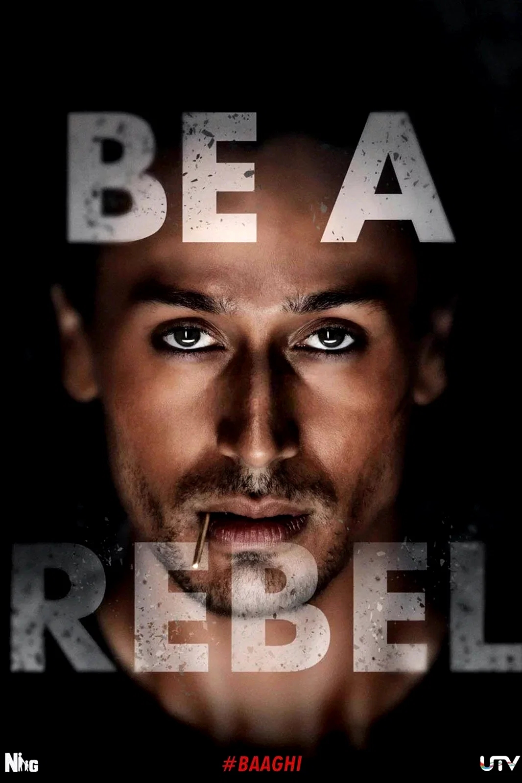 Affiche de la collection : Baaghi - Saga
