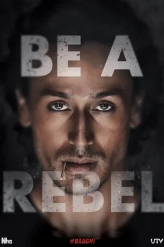 Affiche de la collection Baaghi - Saga