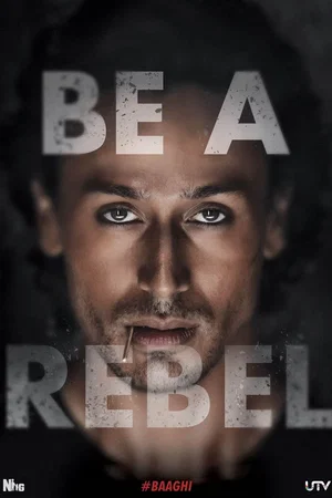 Affiche de la saga : Baaghi - Saga