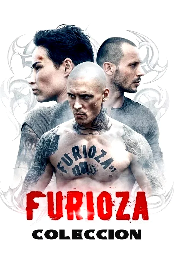 Affiche de la collection : Furioza Collection