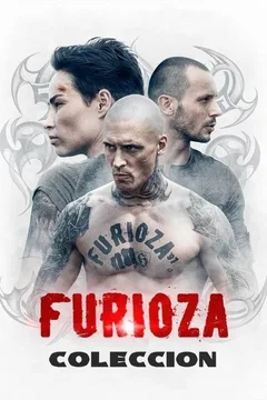 Affiche de la collection : Furioza Collection