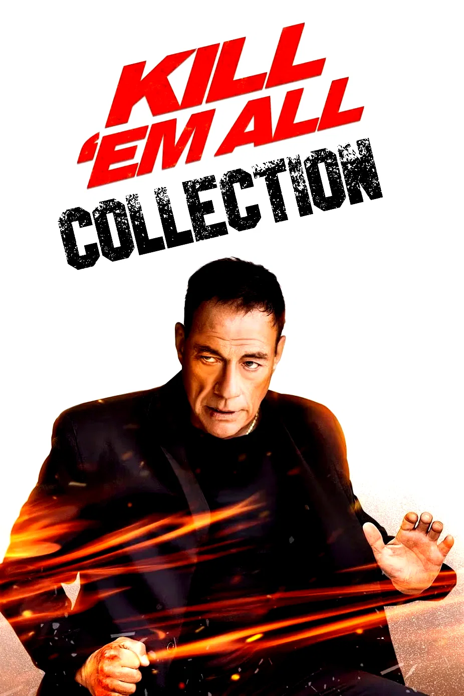 Affiche de la collection : La Marque de la Vengeance - Saga