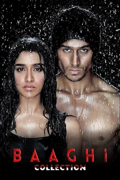 Affiche de la collection : Baaghi - Saga