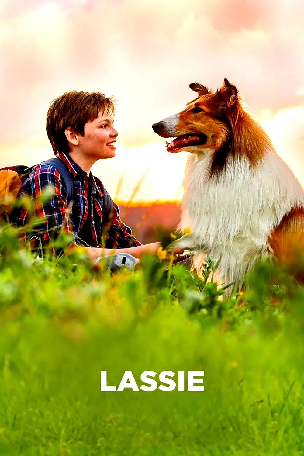 Affiche de la collection : Lassie Filmreihe