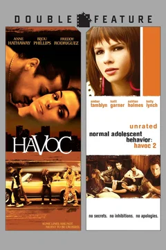 Affiche de la collection Havoc - Saga