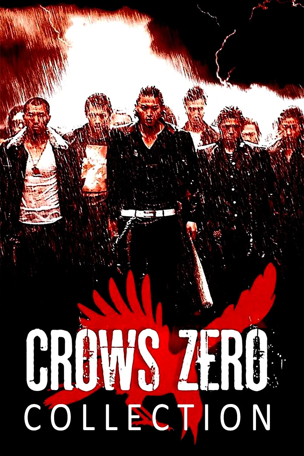 Affiche de la collection : Crows Zero - Saga