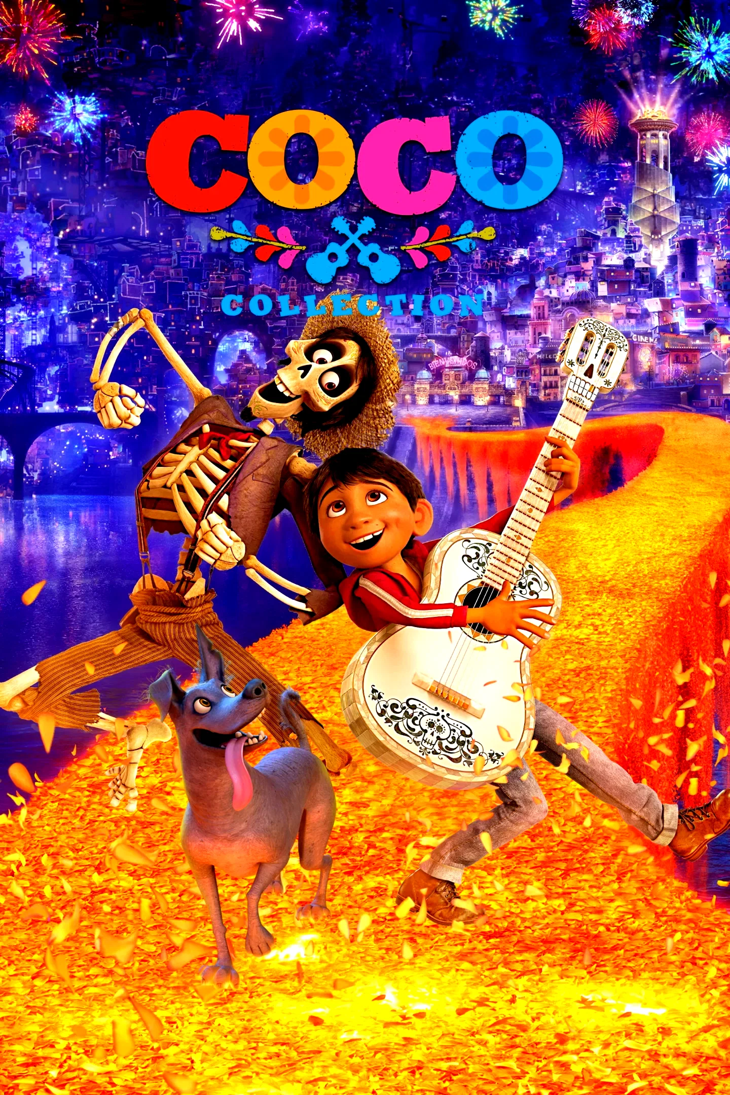 Affiche de la collection : Coco - Saga