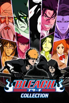 Affiche de la collection Bleach - Saga