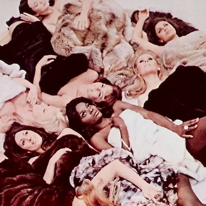 Miniature photo du film : Hollywood vixens