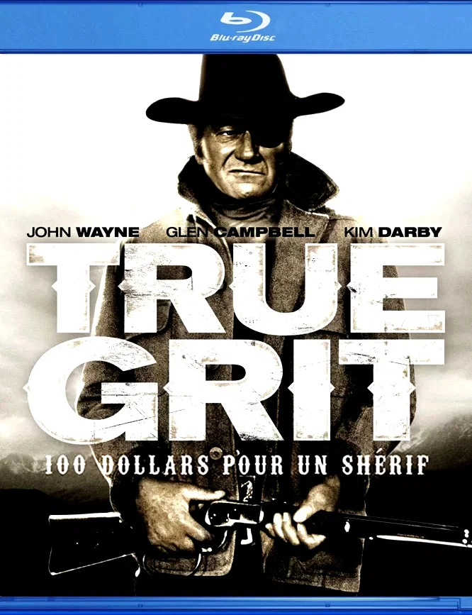 Affiche du film : Cent dollars pour un sherif