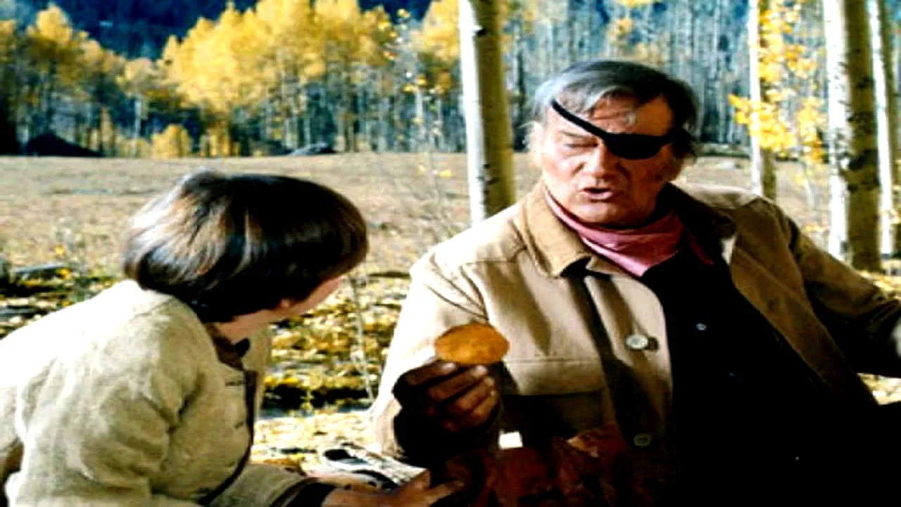 Photo 7 du film : Cent dollars pour un sherif