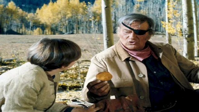 Photo 7 du film : Cent dollars pour un sherif