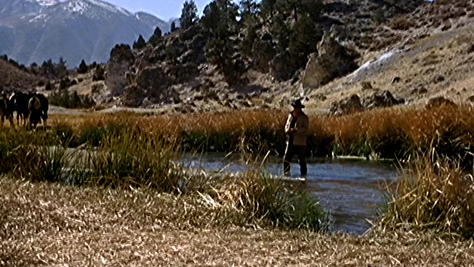 Photo 10 du film : Cent dollars pour un sherif