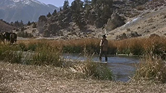 Photo 10 du film : Cent dollars pour un sherif