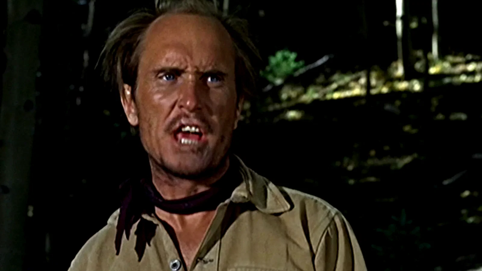 Photo 12 du film : Cent dollars pour un sherif