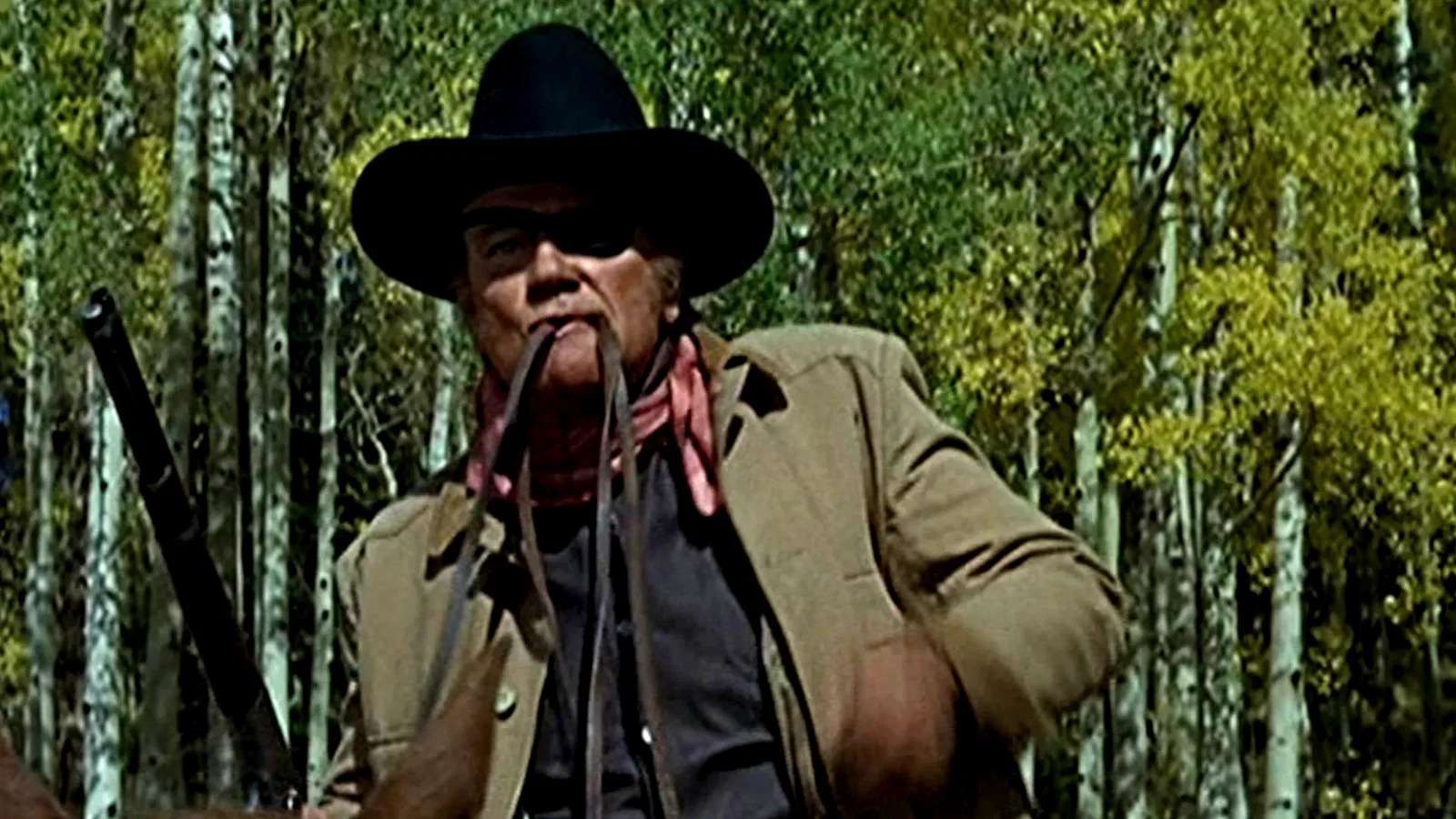 Photo 13 du film : Cent dollars pour un sherif