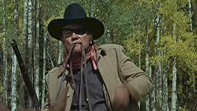 Photo 13 du film : Cent dollars pour un sherif