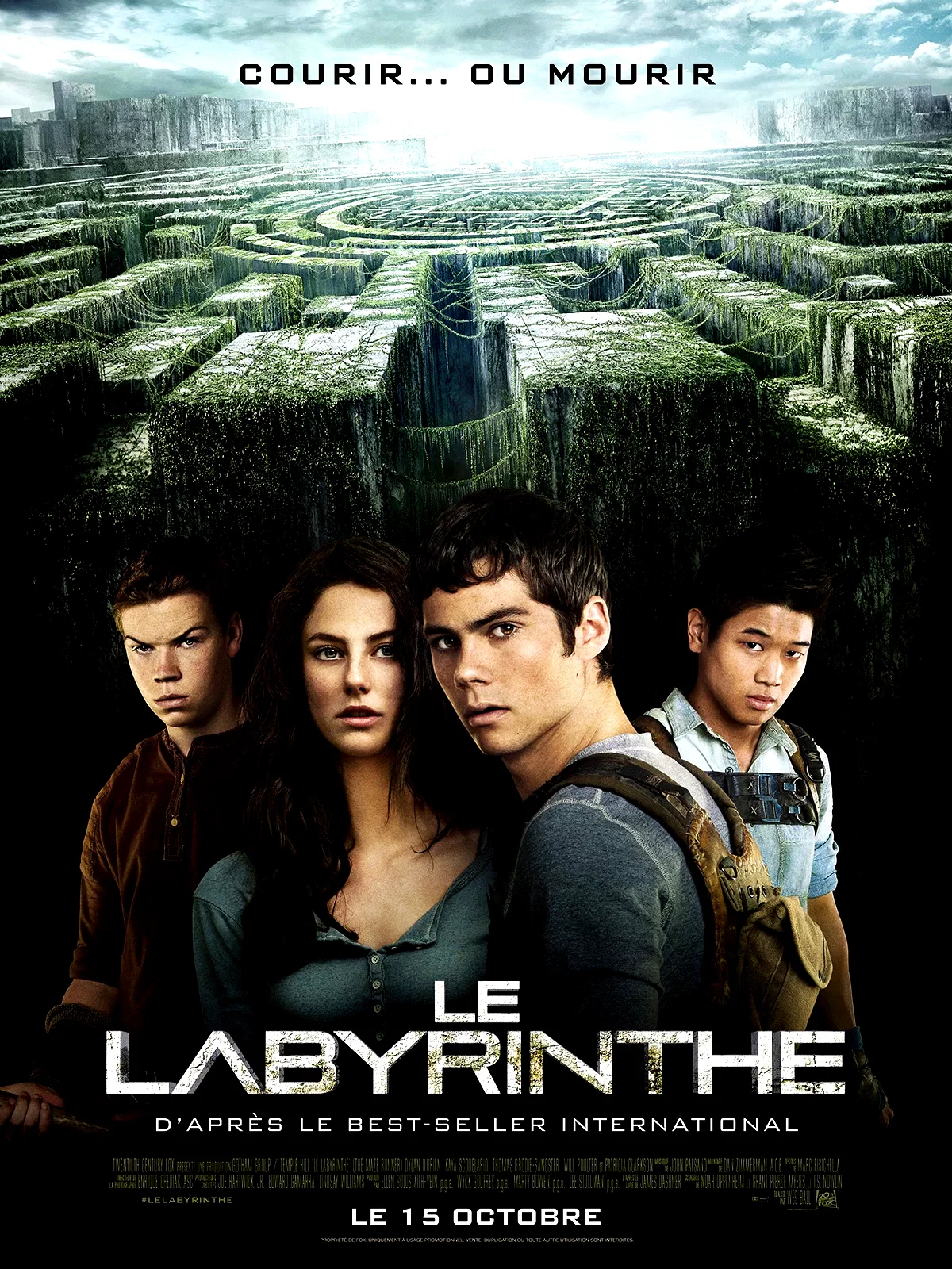 Affiche du film : Le Labyrinthe