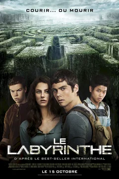 Affiche du film Le Labyrinthe