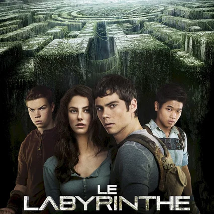 Miniature photo du film : Le Labyrinthe
