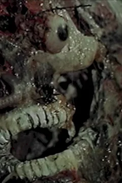 Affiche du film Le dernier monde cannibale
