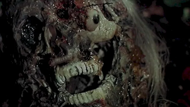 Affiche du film : Le dernier monde cannibale