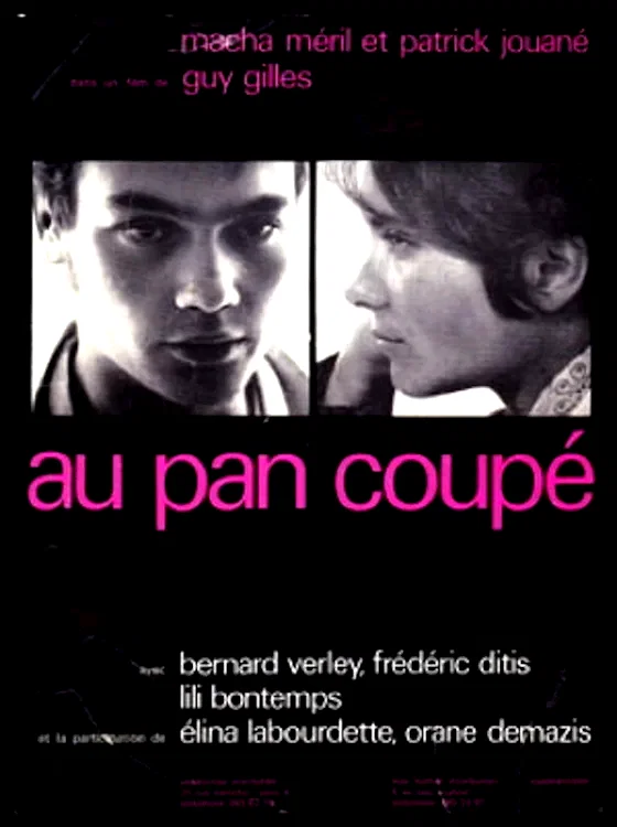Affiche du film : Au pan coupé