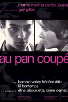 Affiche du film = Au pan coupé