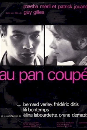 Affiche du film : Au pan coupé
