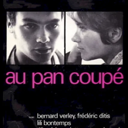 Miniature photo du film : Au pan coupé