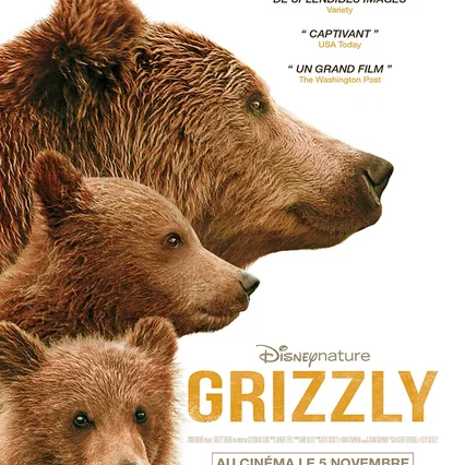 Miniature photo du film : Grizzly 