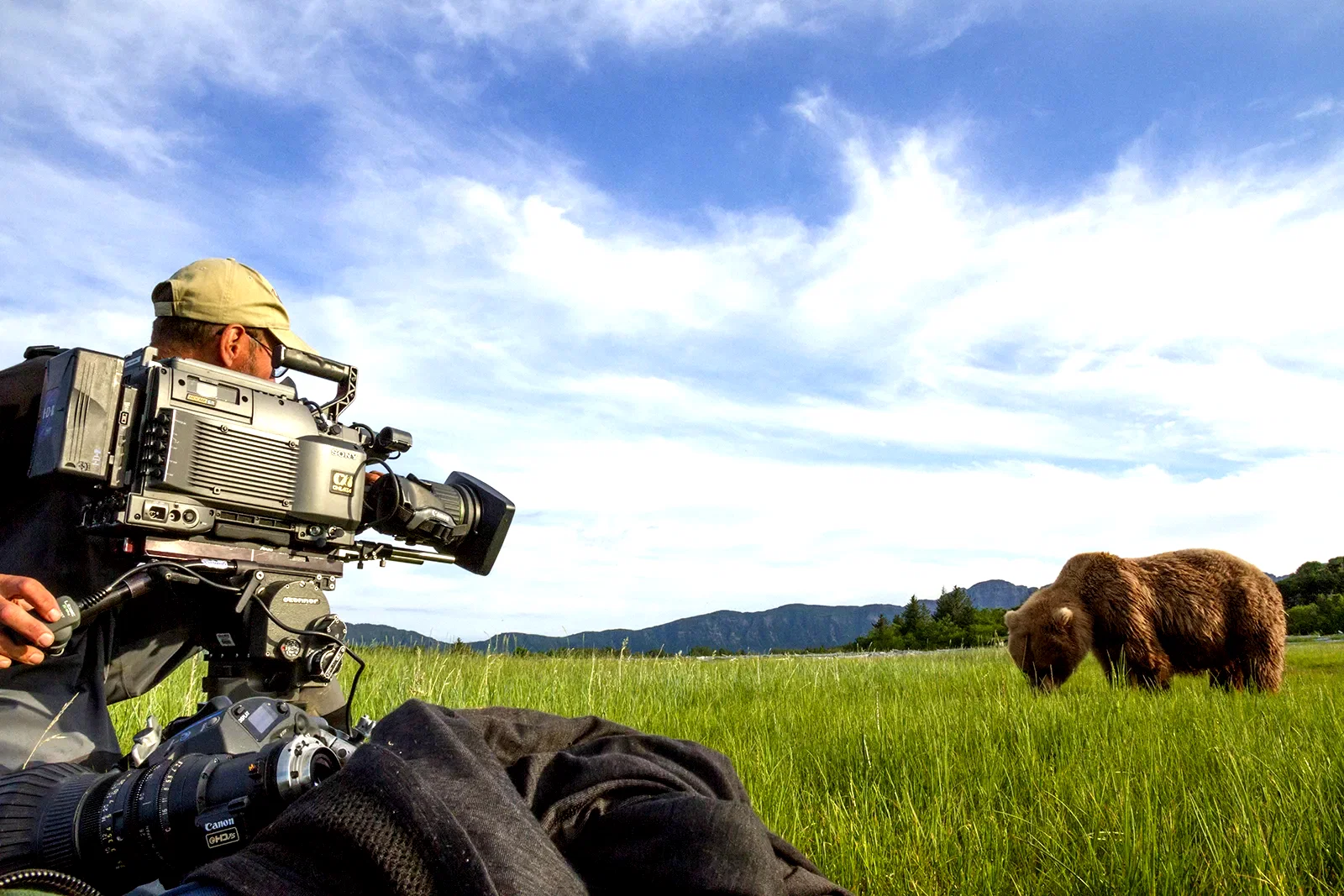 Photo 10 du film : Grizzly 
