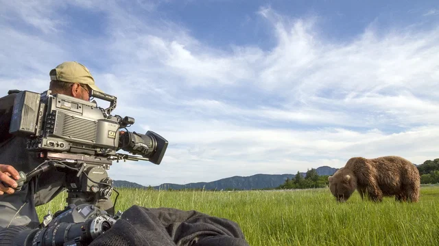 Photo du film : Grizzly 