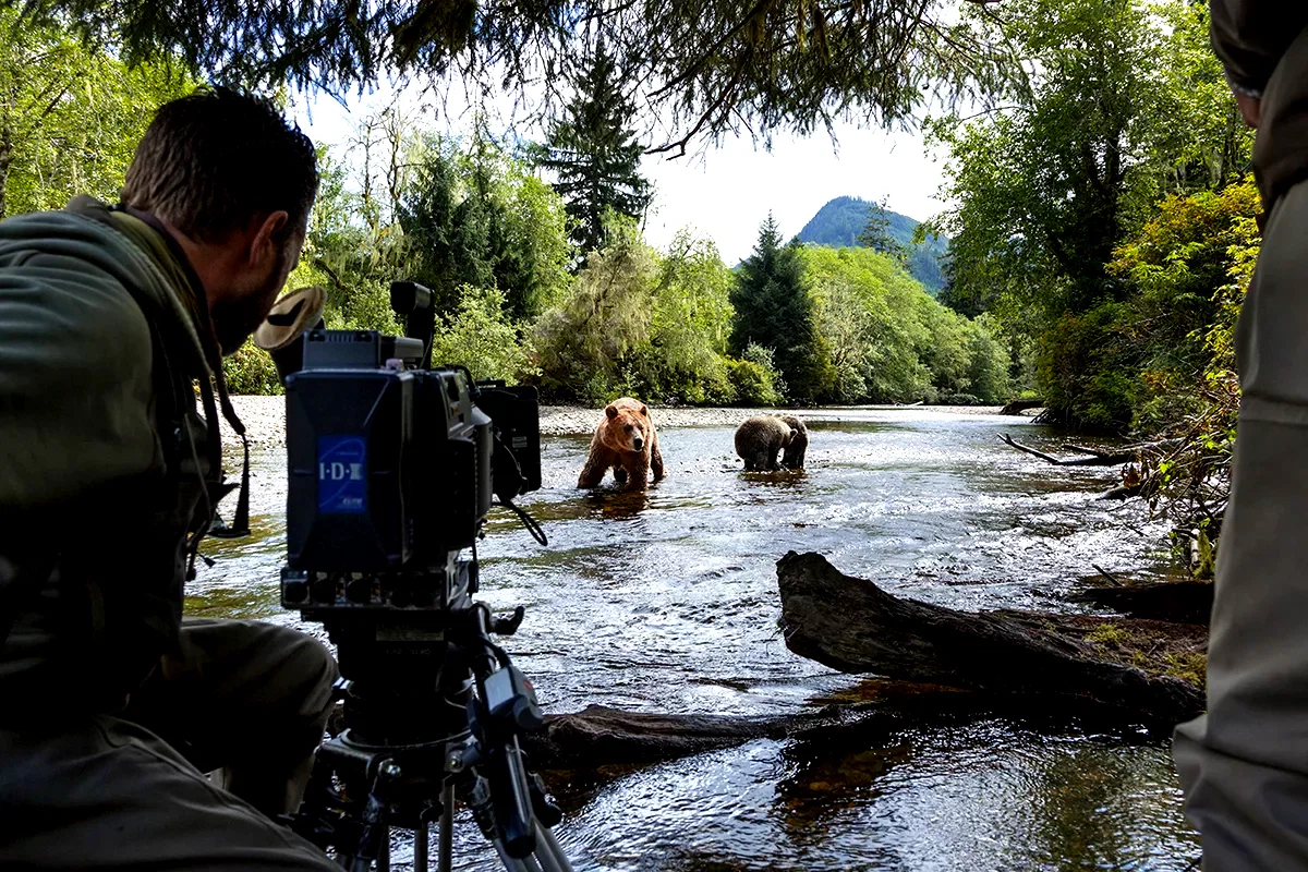 Photo 11 du film : Grizzly 
