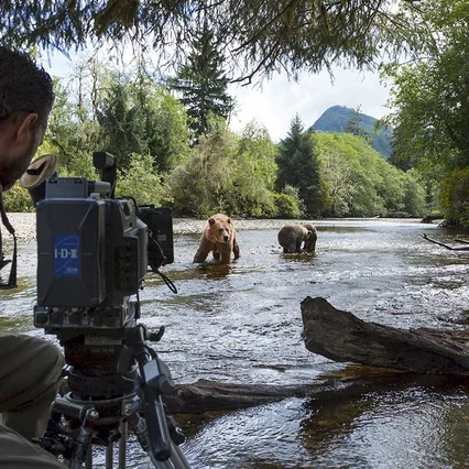 Miniature photo du film : Grizzly 