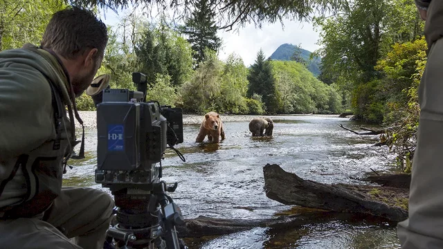 Photo du film : Grizzly 
