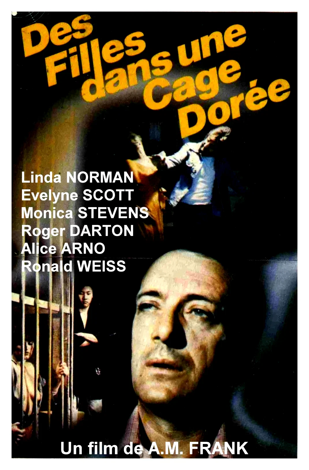 Affiche du film : Une Cage dorée