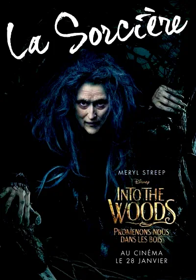 Photo 3 du film : Into the Woods 