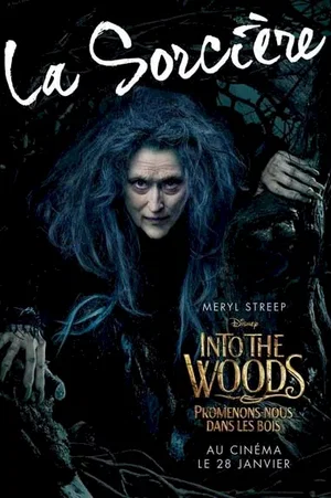 Photo 3 du film : Into the Woods 