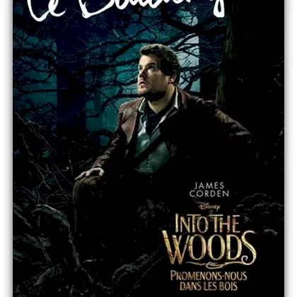Miniature photo du film : Into the Woods 