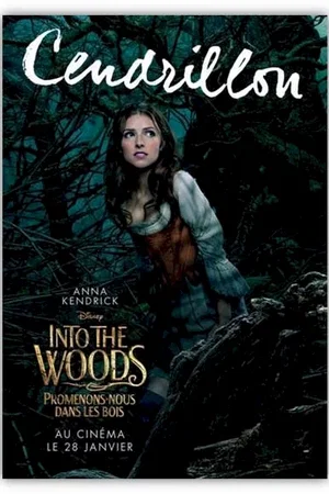 Photo 6 du film : Into the Woods 