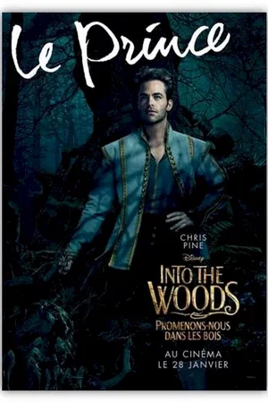 Photo 7 du film : Into the Woods 