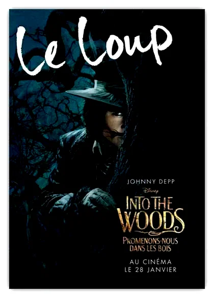 Photo 8 du film : Into the Woods 
