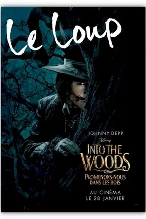 Photo 8 du film : Into the Woods 