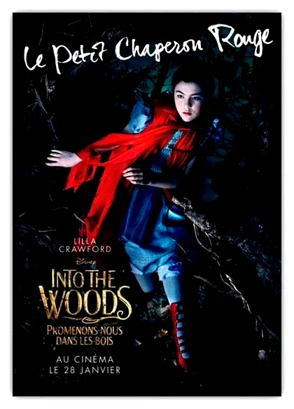 Photo 9 du film : Into the Woods 