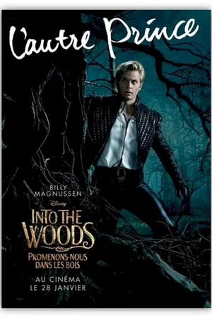 Photo 12 du film : Into the Woods 