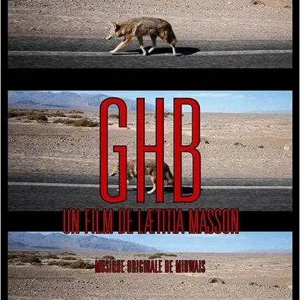 Miniature photo du film : G.H.B