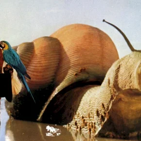 Photo du film : L'extravagant docteur dolittle