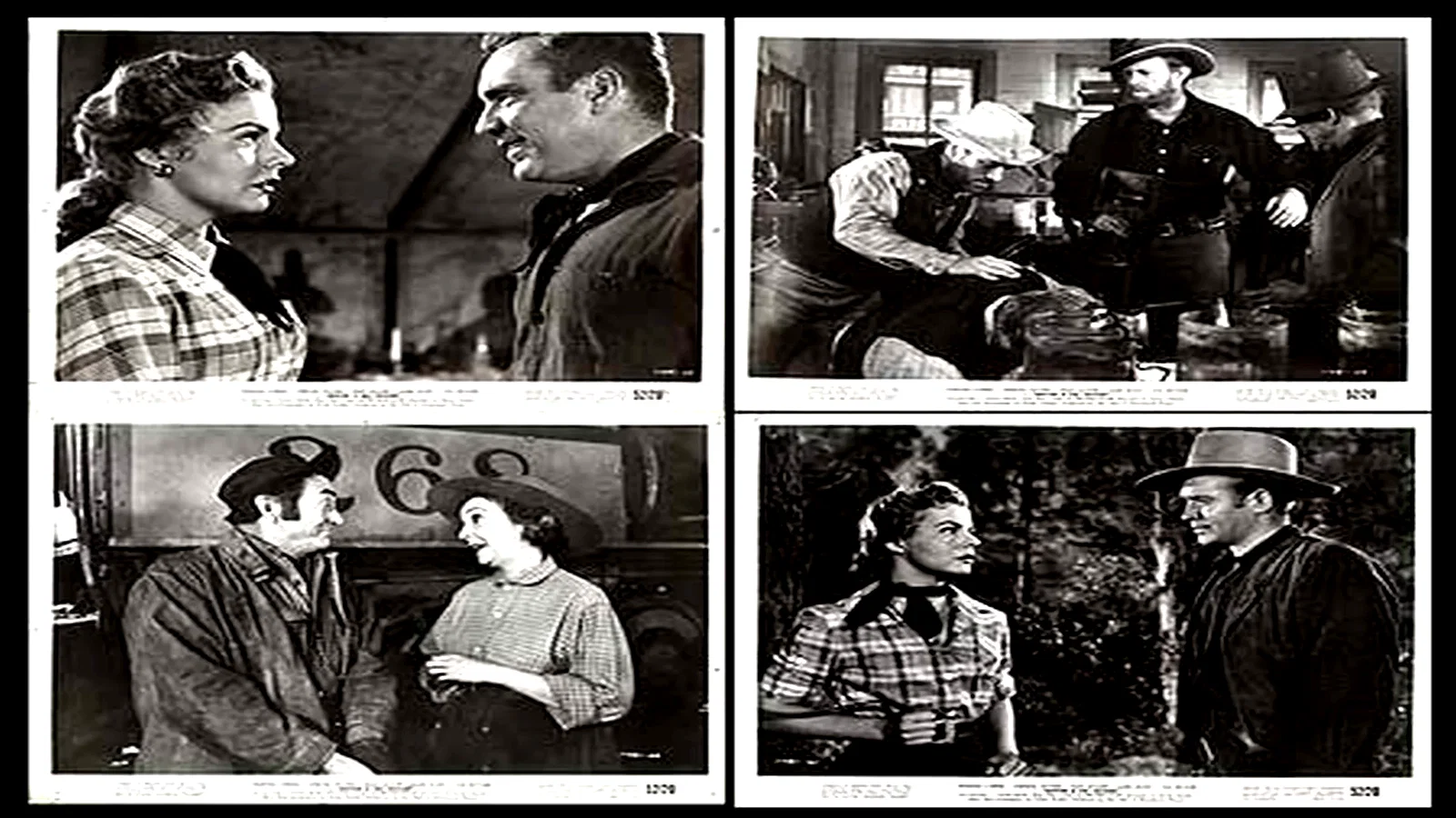 Photo 4 du film : Les rivaux du rail